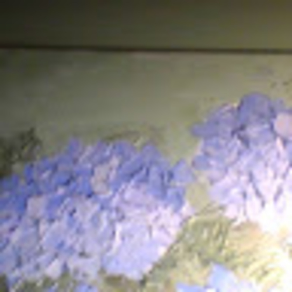 Meet your Posher, Lianne